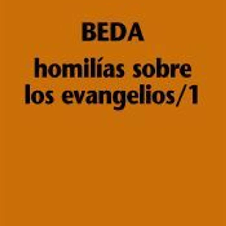 Homilías sobre los Evangelios/1 1