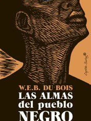 Las almas del pueblo negro