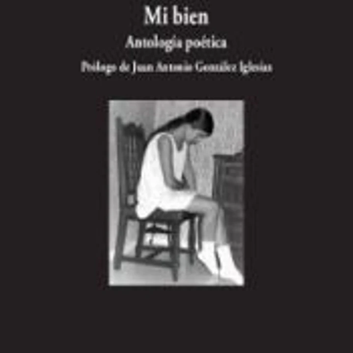 Mi bien. Antología poética 1