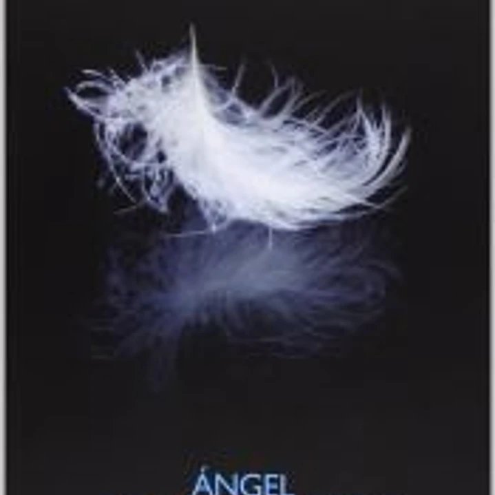 ANGEL EN FUERA DE JUEGO  1