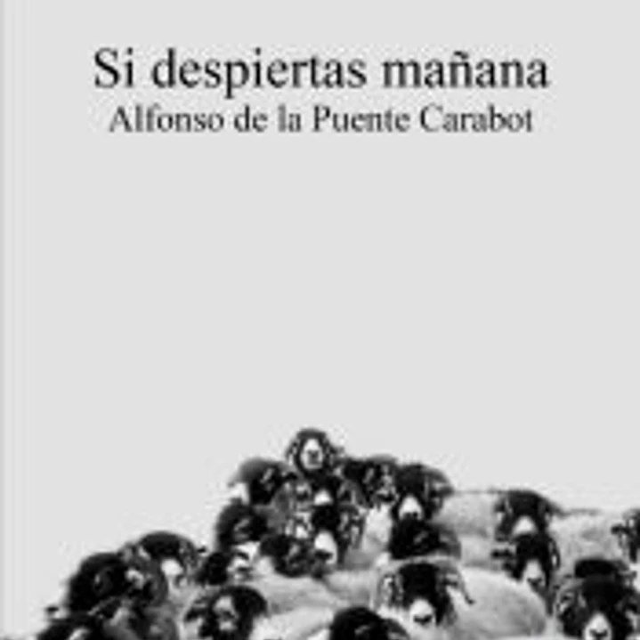Si despiertas mañana 1