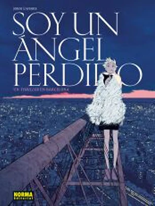 SOY UN ANGEL PERDIDO