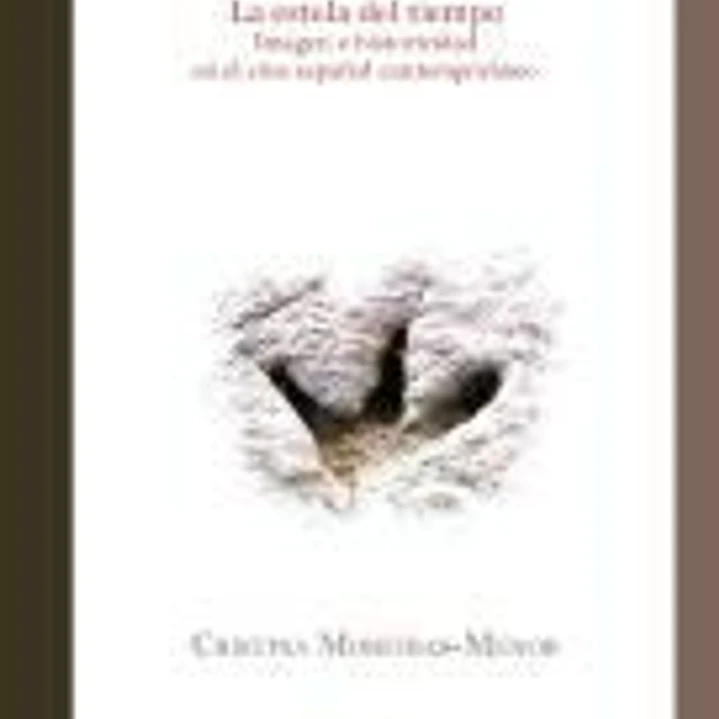 La estela del tiempo. Imagen e historicidad en el cine español 1