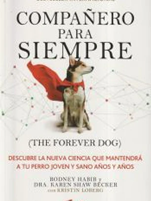 Compañero para siempre (The forever dog)