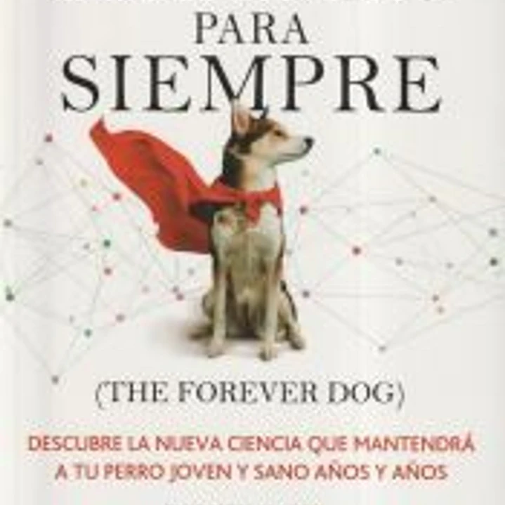 Compañero para siempre (The forever dog) 1