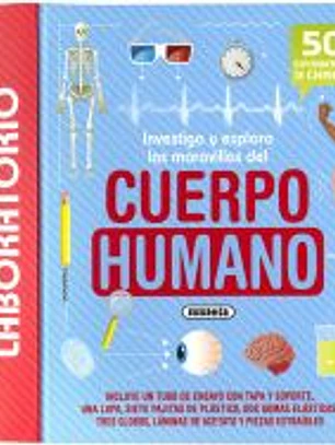 Cuerpo humano
