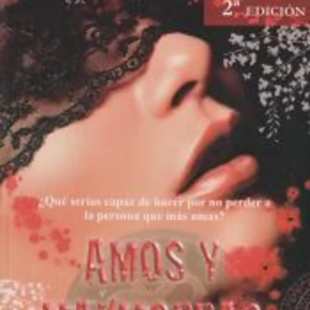 Amos y mazmorras V 1