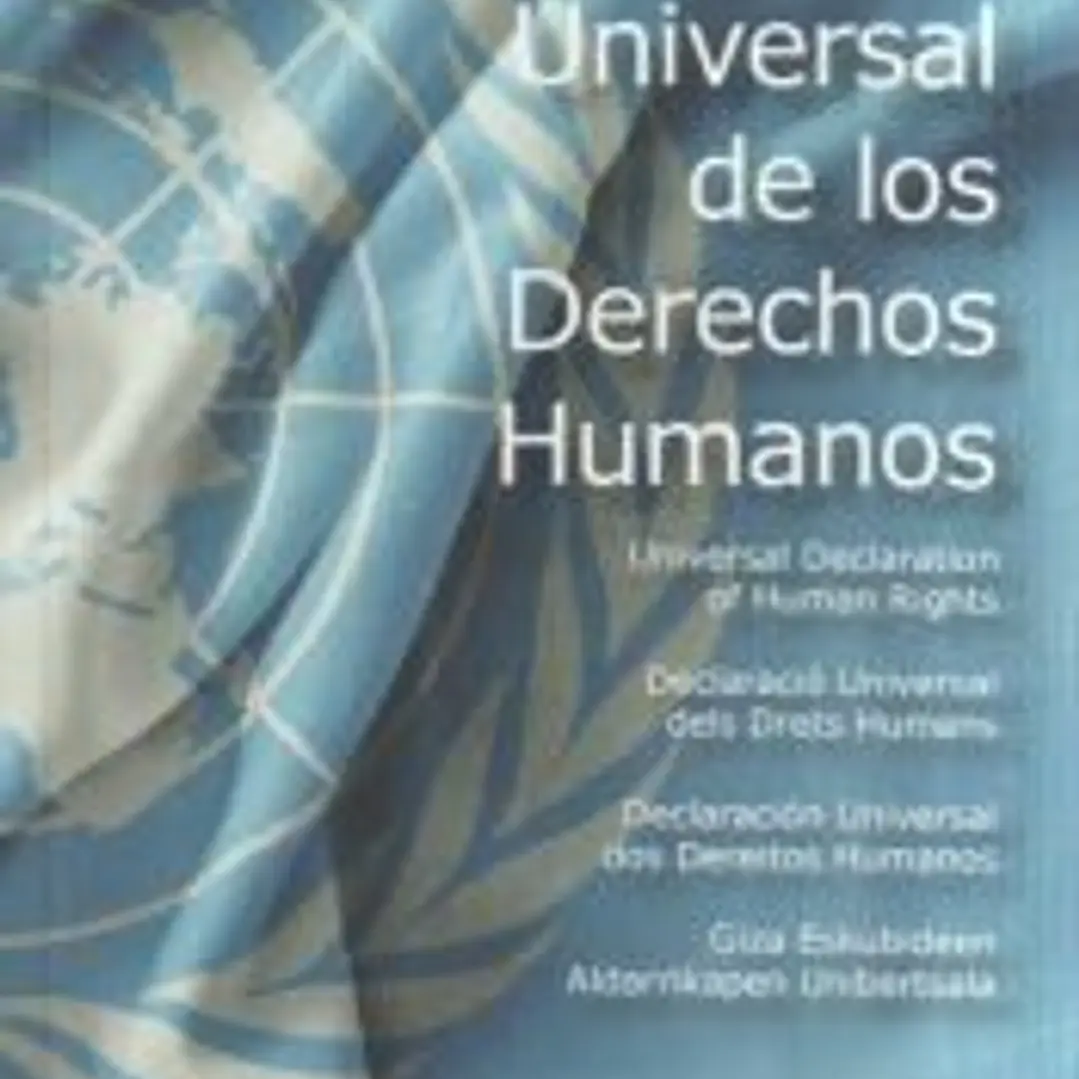 DECLARACION UNIVERSAL DE LOS DERECHOS HUMANOS 1