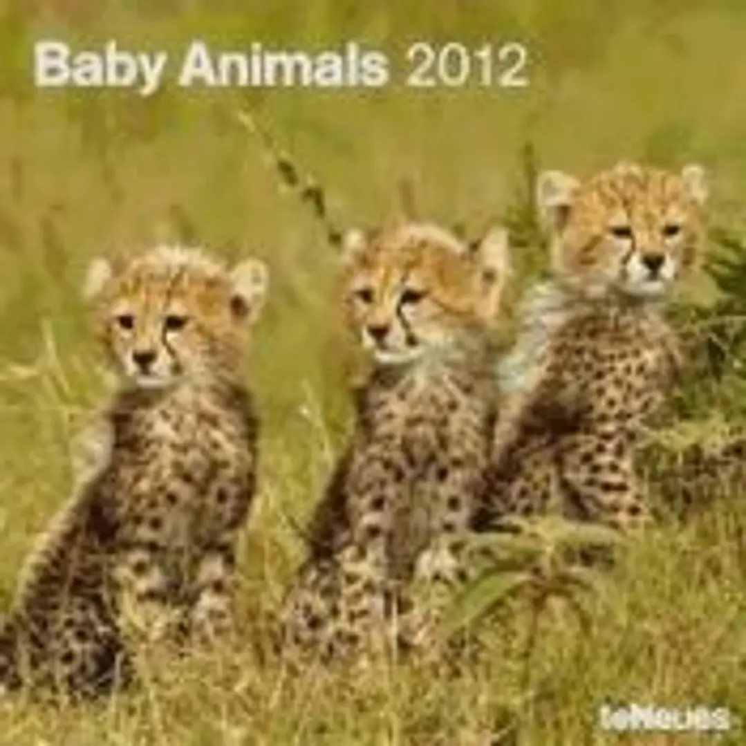 Calendario 2012. Baby Animals. 1