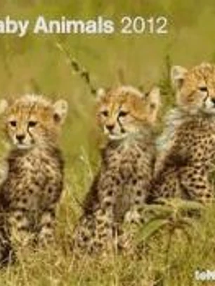 Calendario 2012. Baby Animals.