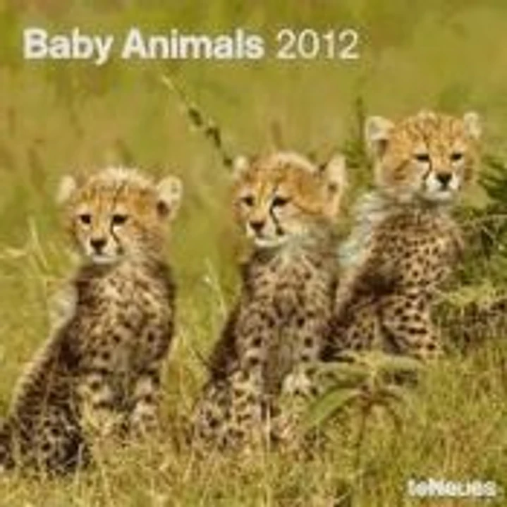Calendario 2012. Baby Animals. 1