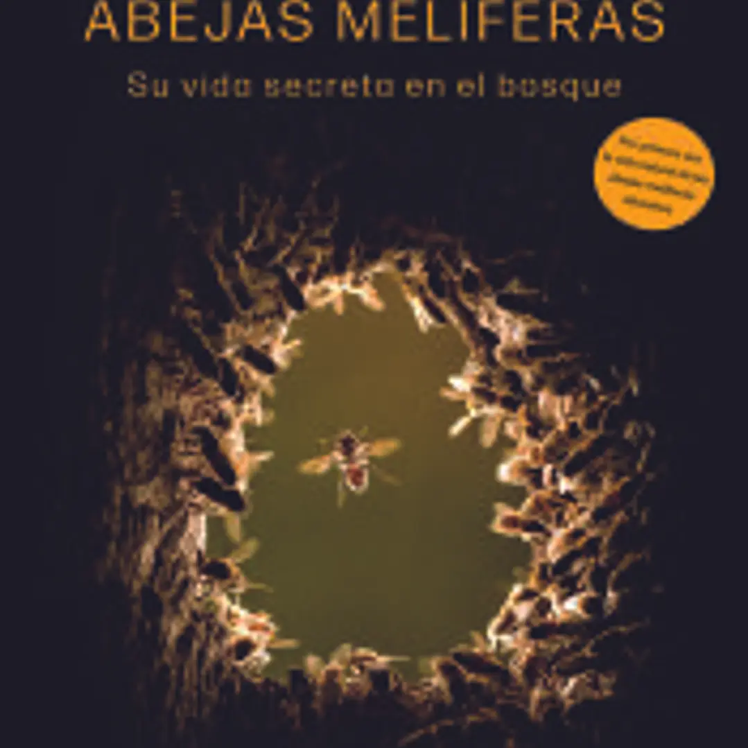 Abejas melíferas: Su vida secreta en el bosque 1