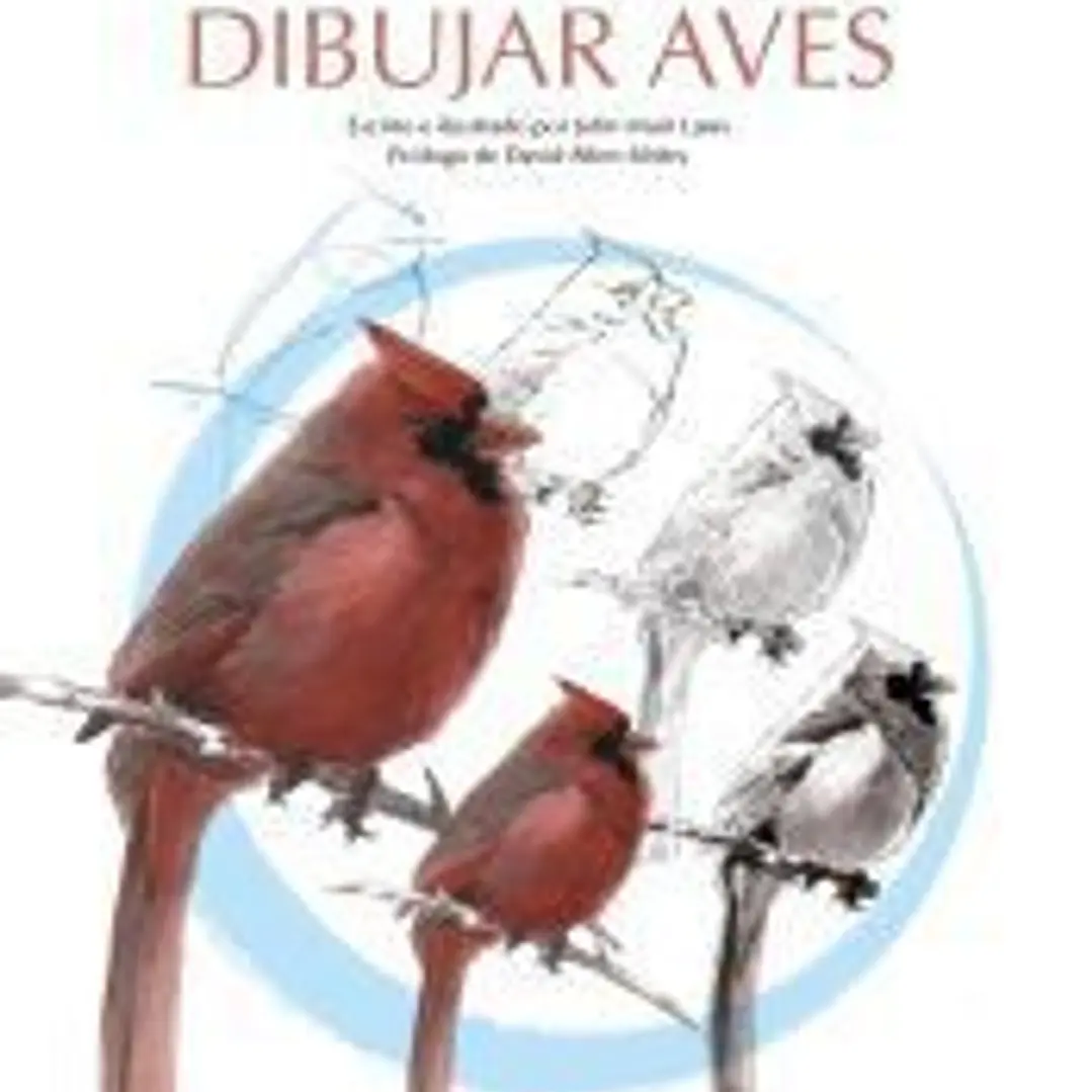 La guía para dibujar aves 1