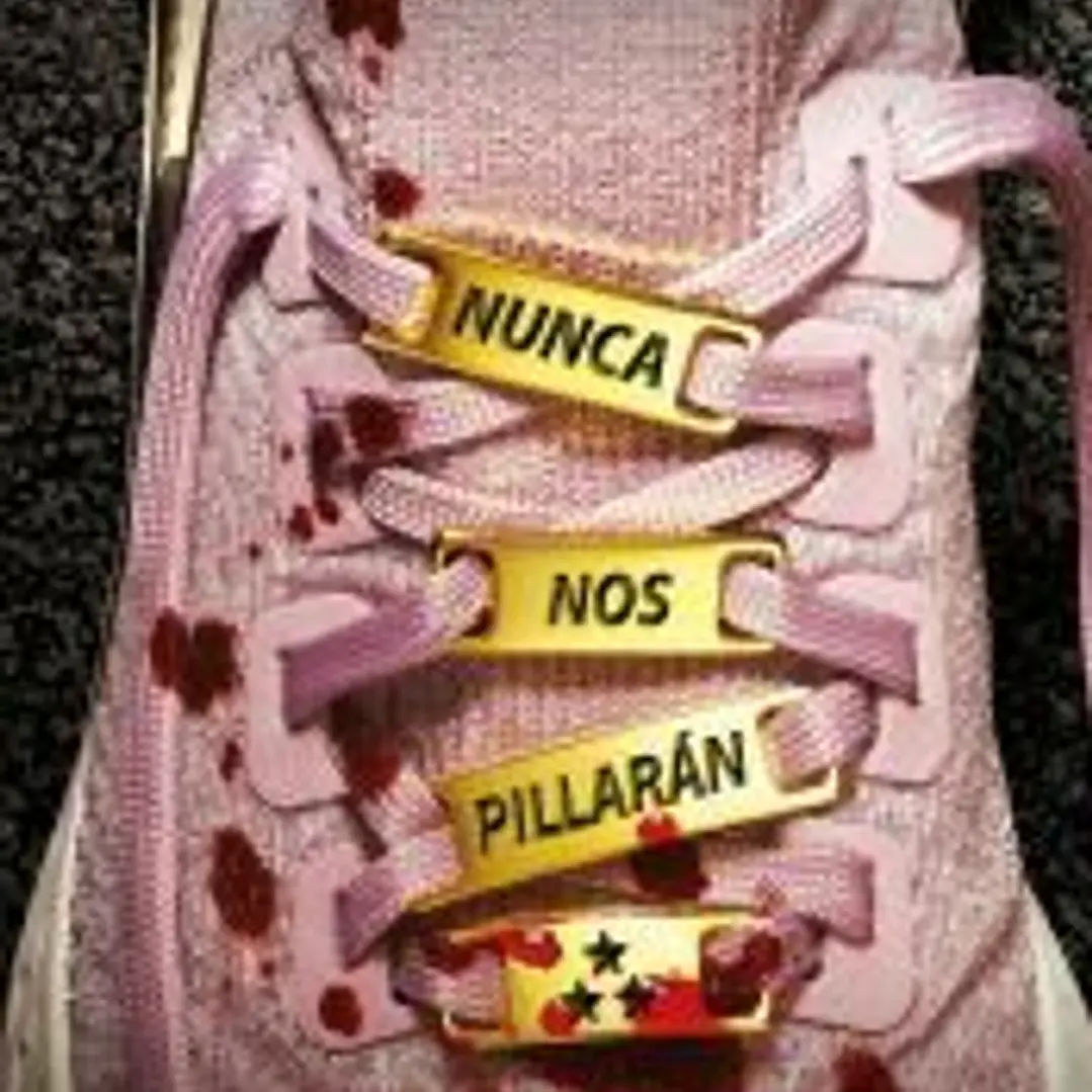 Nunca nos pillarán 1