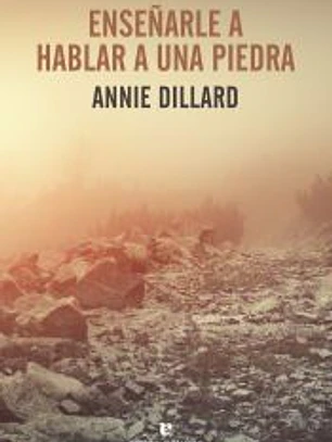 Enseñarle a hablar a una piedra
