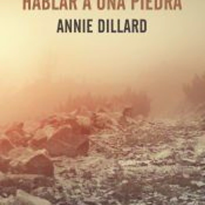 Enseñarle a hablar a una piedra 1