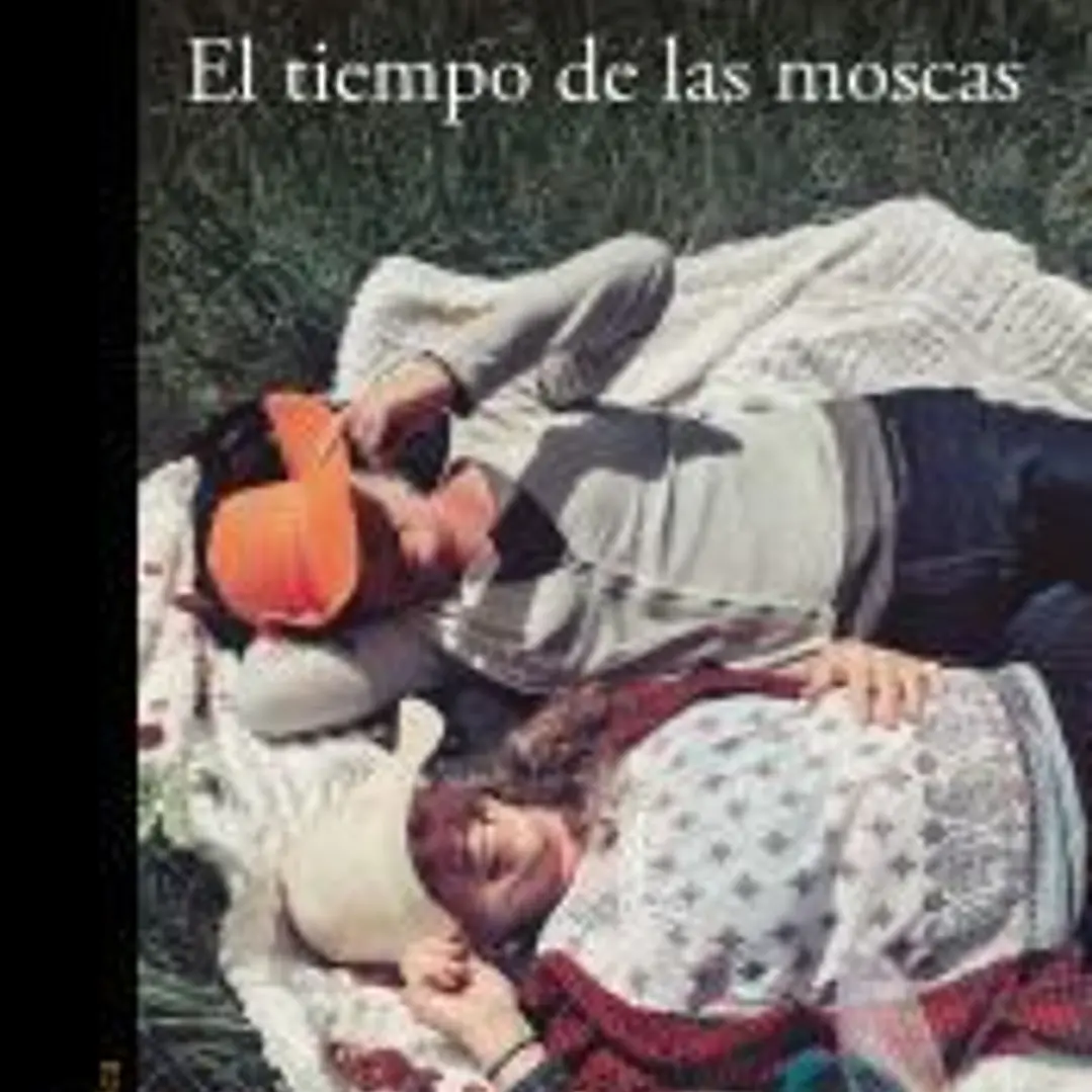 El tiempo de las moscas 1