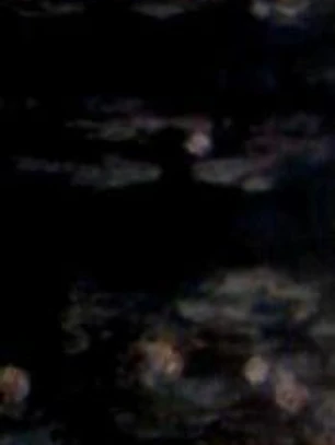 Monet 2011