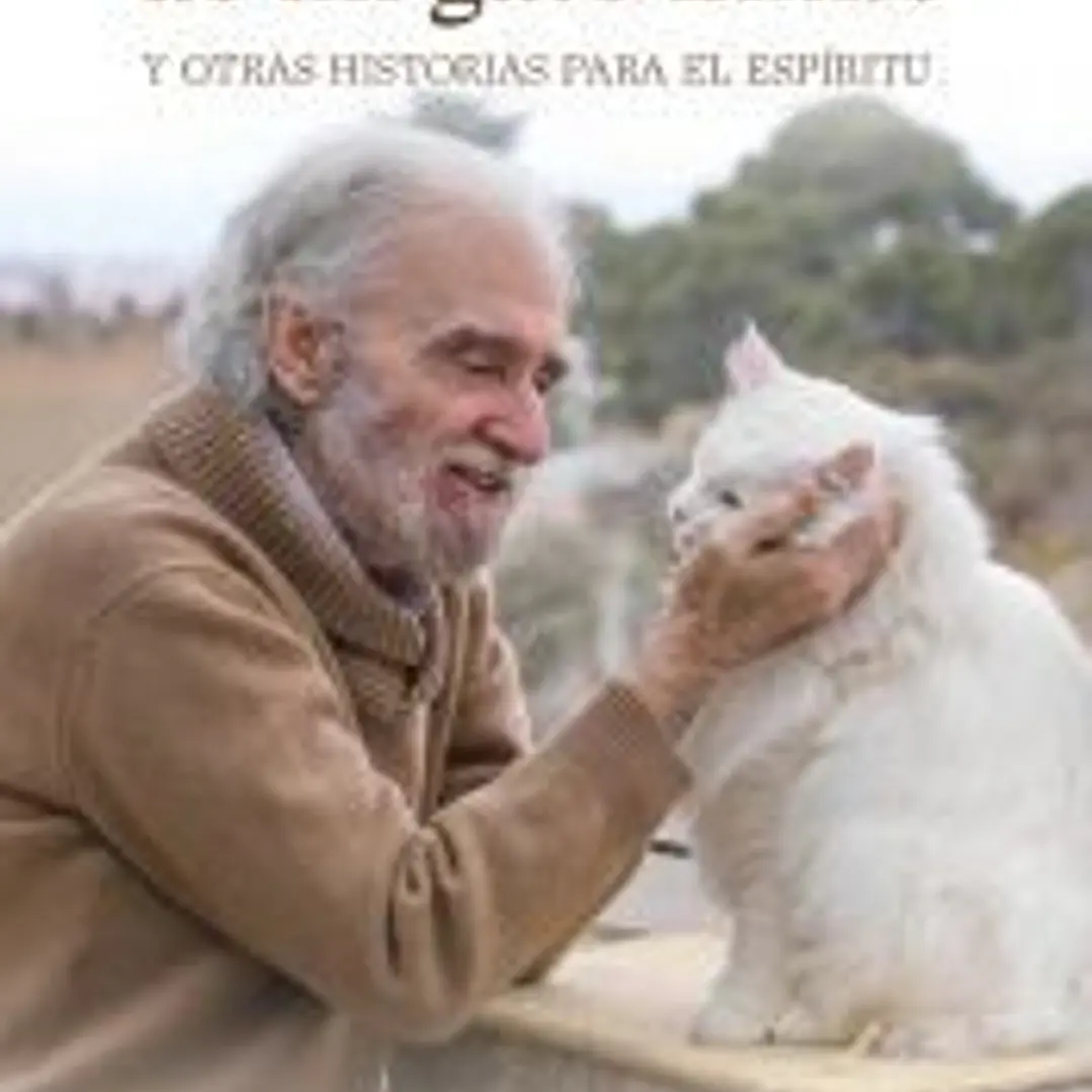 La memoria eterna de mi gato Èmile y otras historias para el espíritu 1