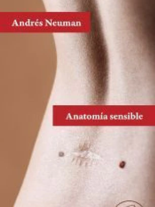 Anatomía sensible