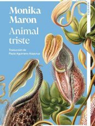 Animal triste