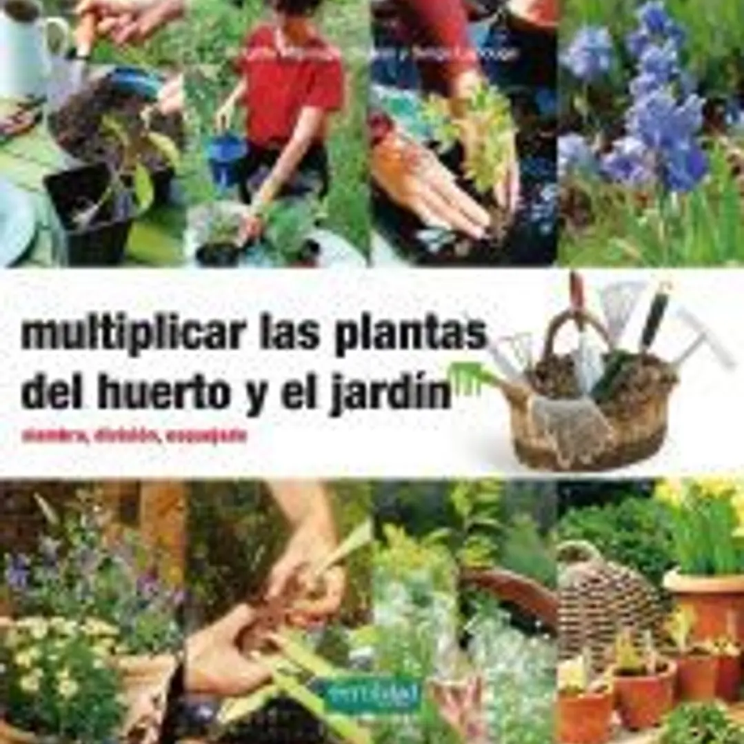 Multiplicar las plantas del huerto y el jardín 1