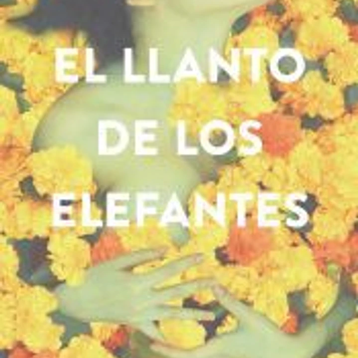 El llanto de los elefantes 1