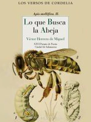 Lo que busca la abeja