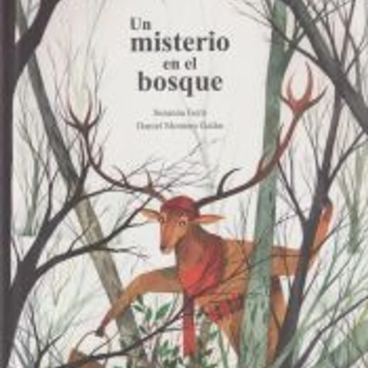 Un Misterio En El Bosque (a Mystery in the Forest) 1