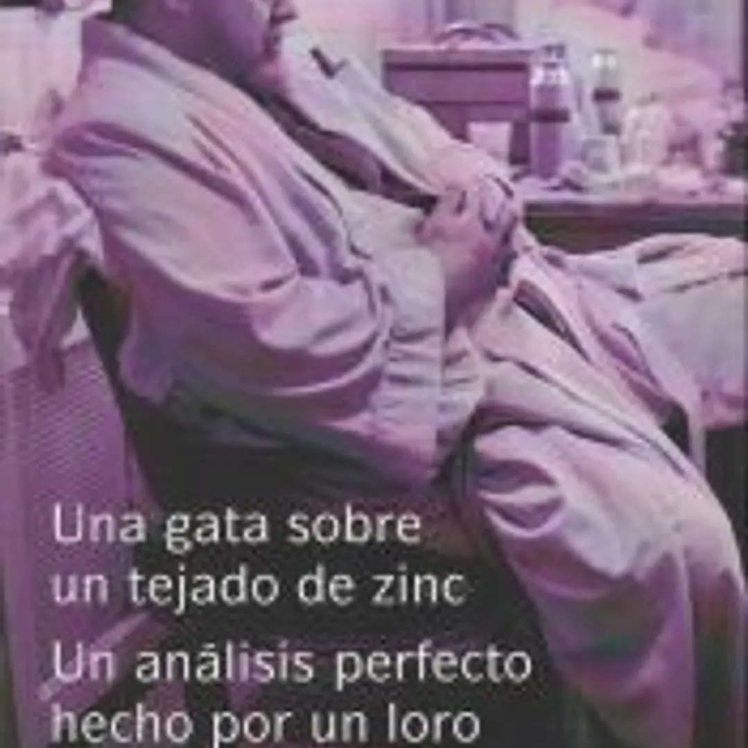 Una gata sobre un tejado de zinc / El análisis perfecto hecho por un loro 1