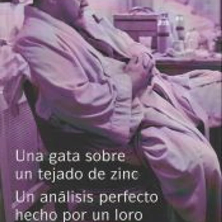 Una gata sobre un tejado de zinc / El análisis perfecto hecho por un loro 1