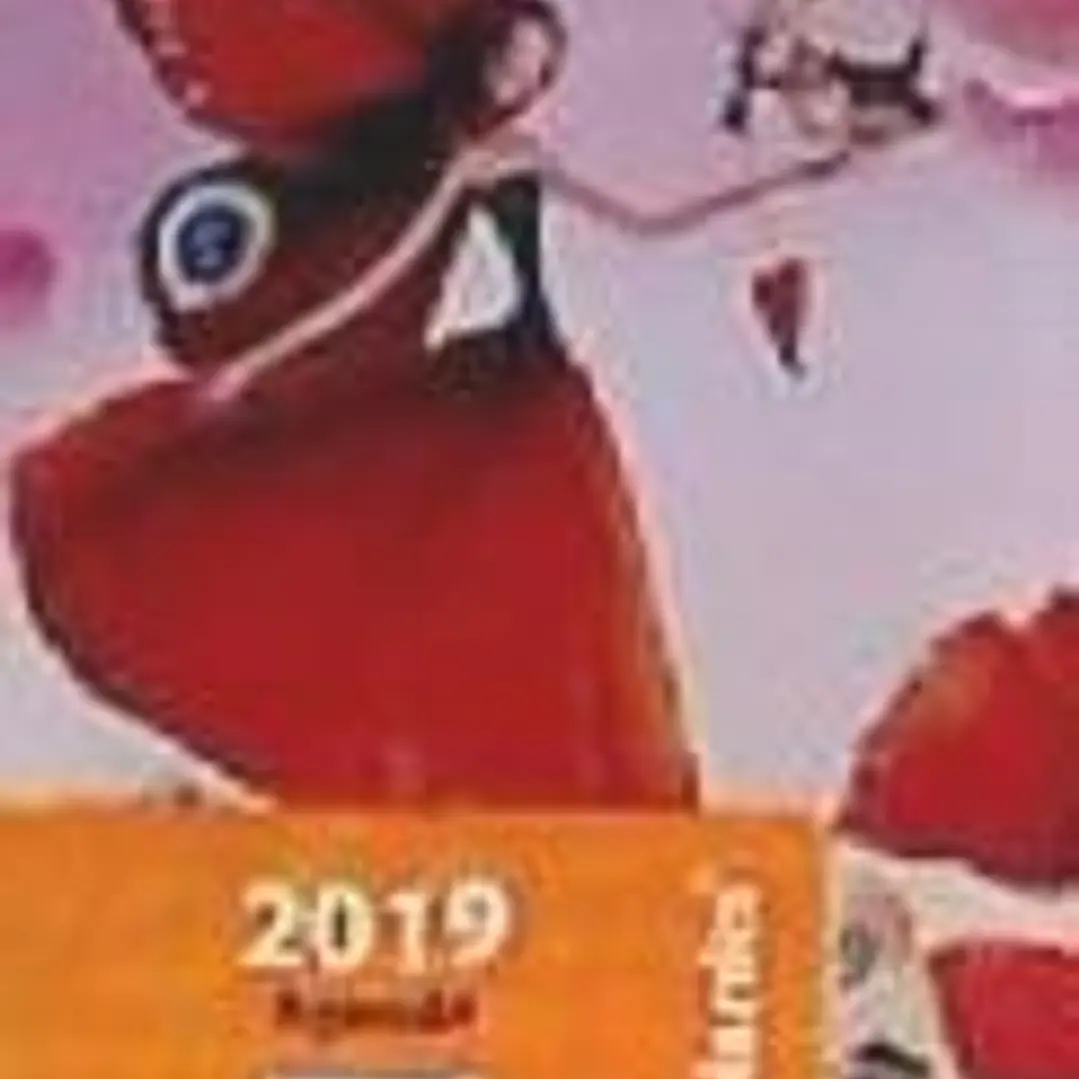 2019 MINI CAMPO DE AMAPOLAS 1
