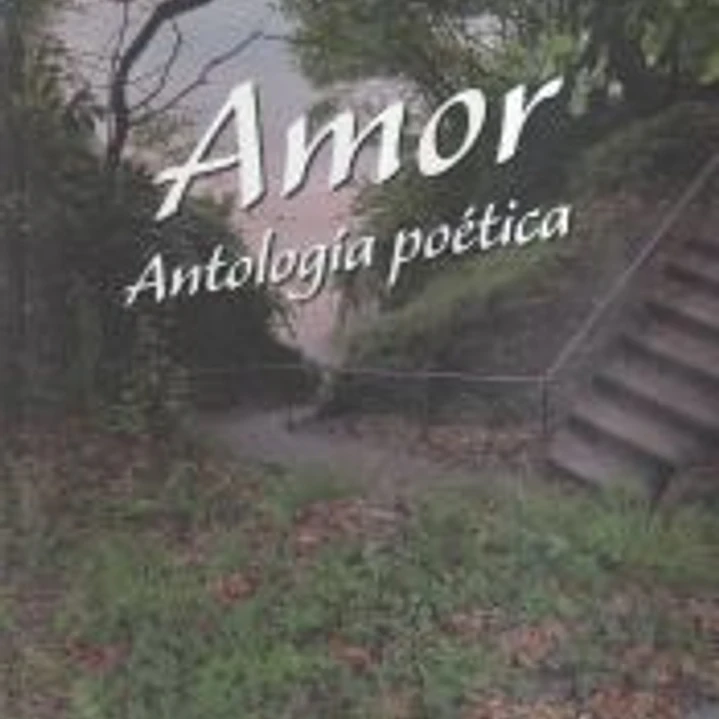 Amor 1