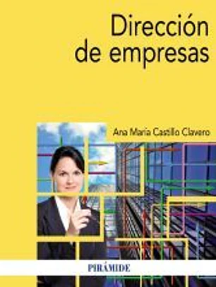 Direccion de empresas