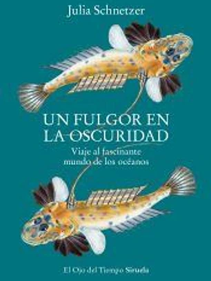 Un fulgor en la oscuridad