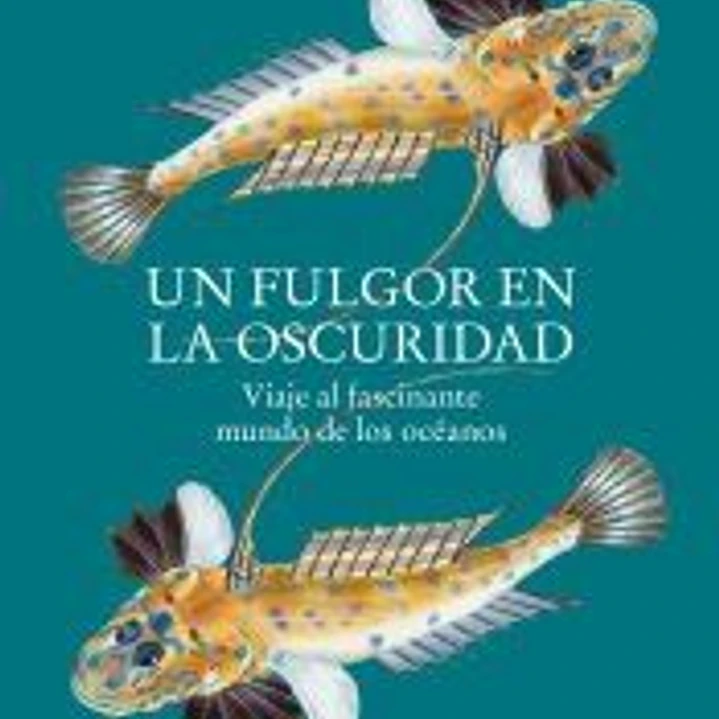 Un fulgor en la oscuridad 1
