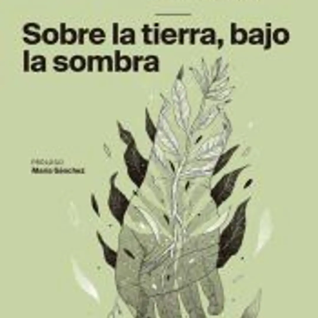 Sobre la tierra, bajo la sombra 1