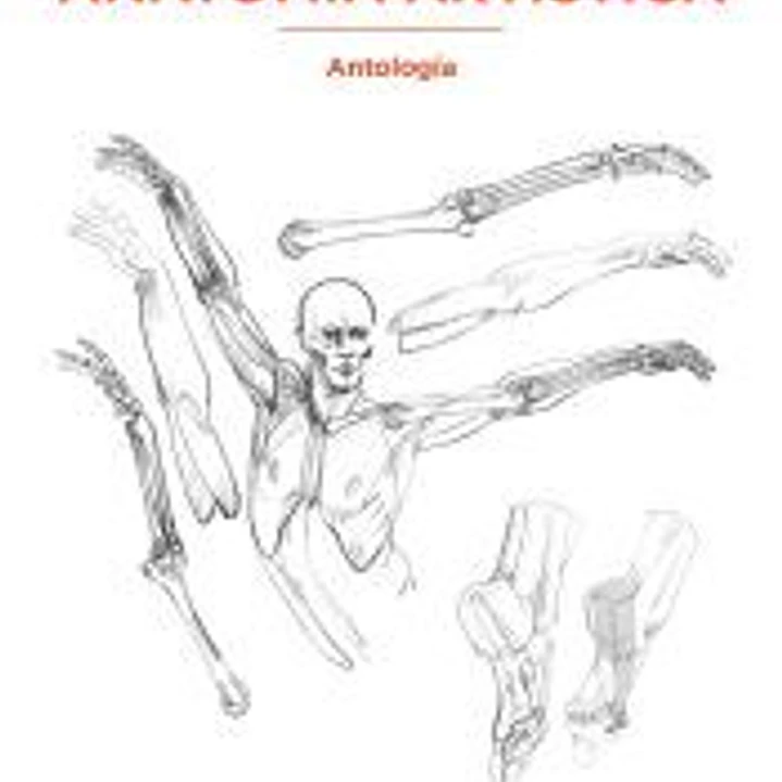 Anatomía artística: Antología 1