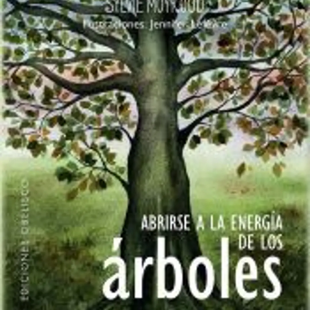 Abrirse a la energía de los árboles 1