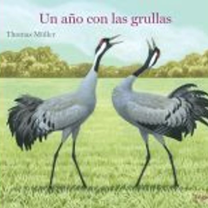 Un año con las grullas 1