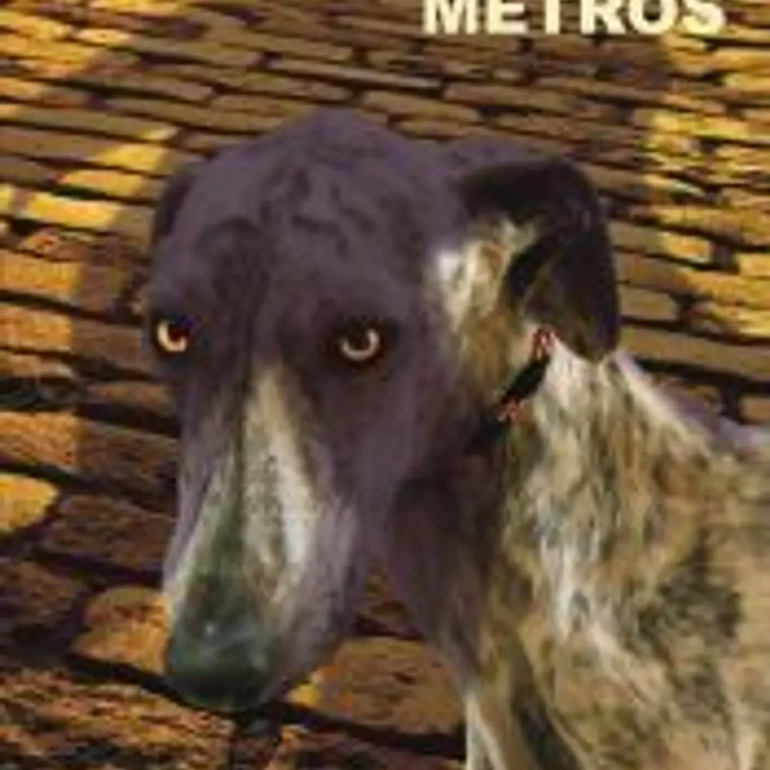 Cien metros 1