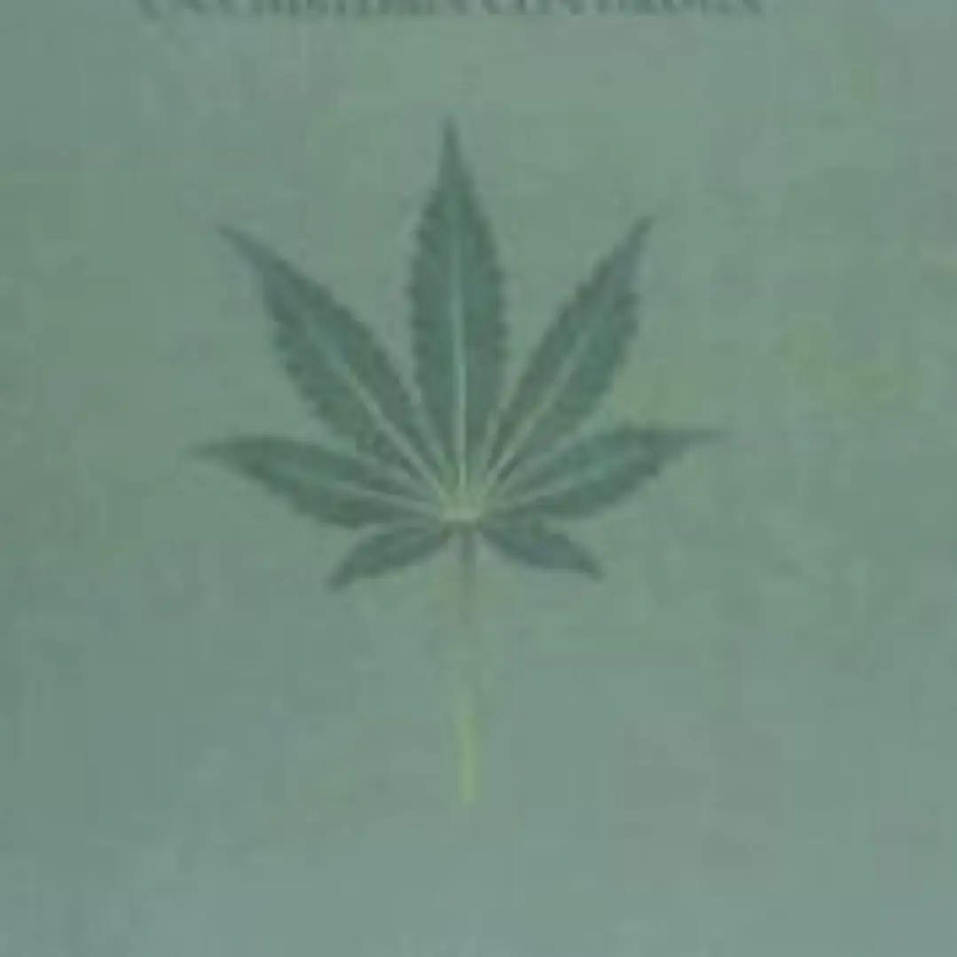 Traficantes una historia con droga 1