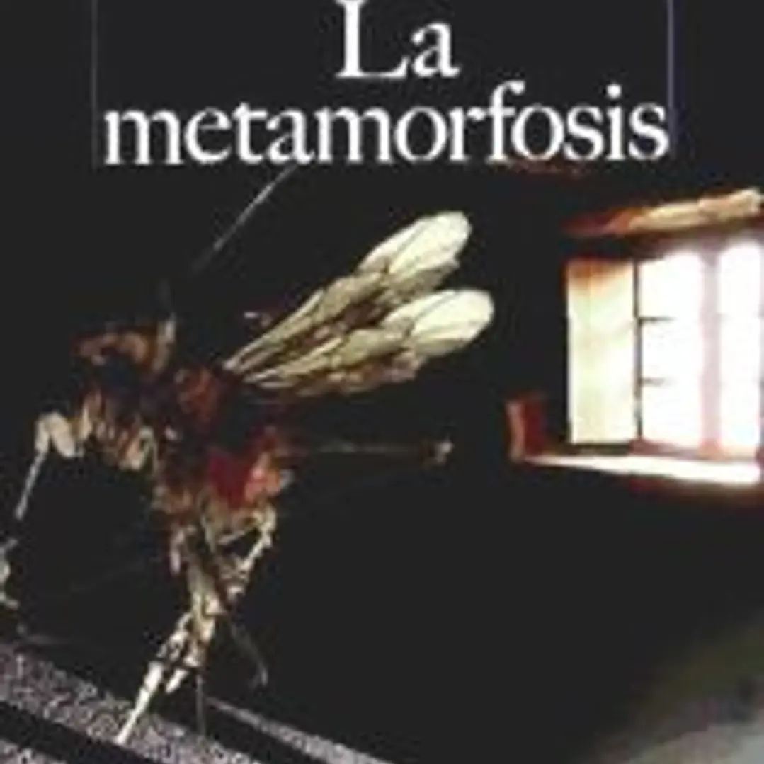 La metamorfosis 1
