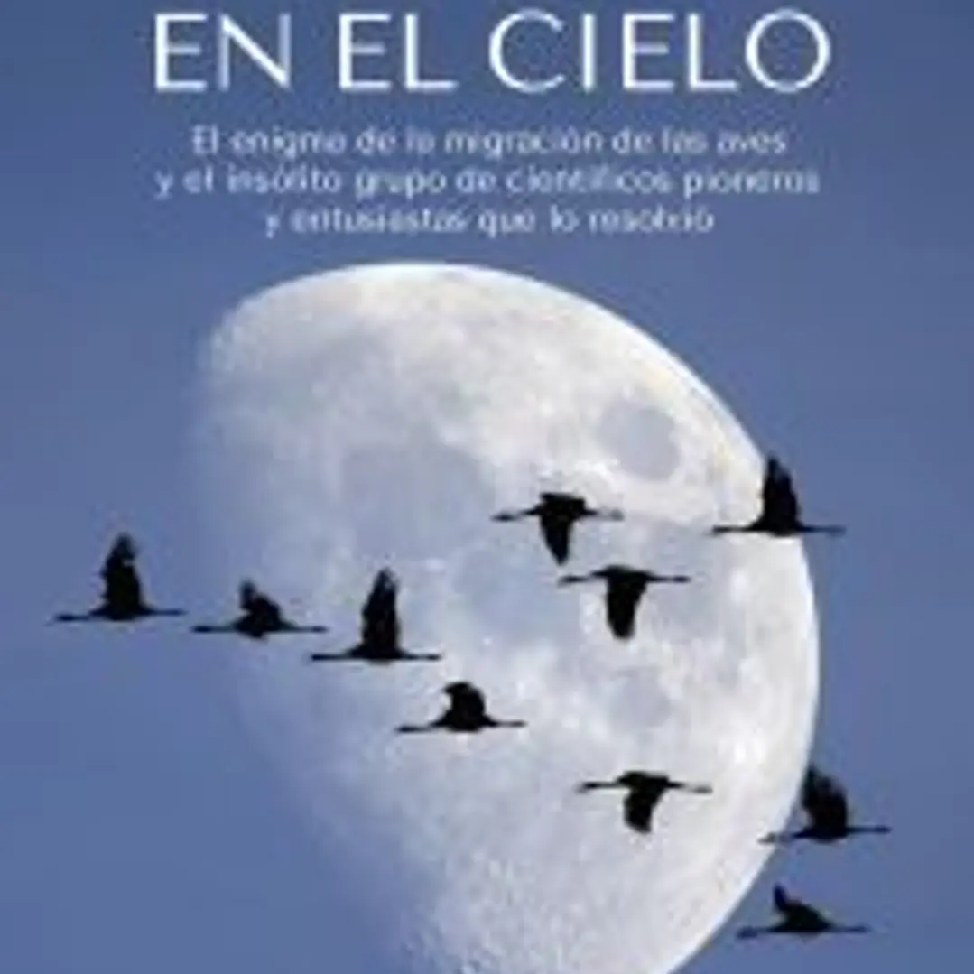 Rutas en el Cielo 1