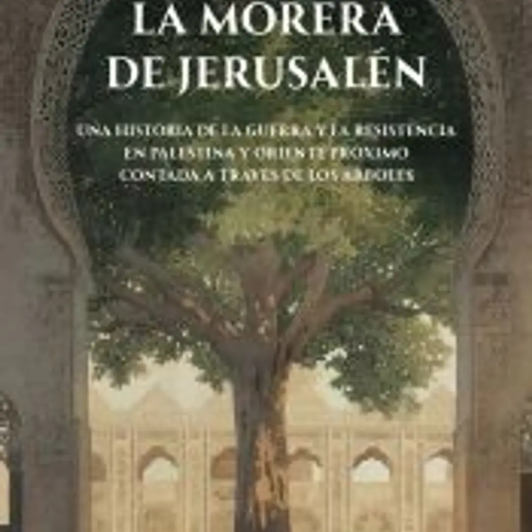 La morera de Jerusalén 1