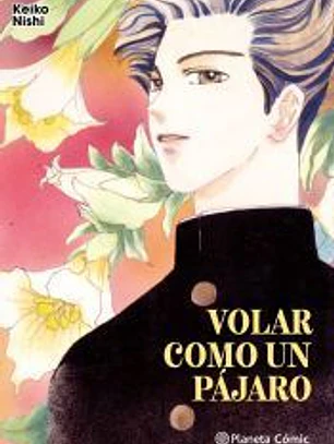 Volar como un pájaro