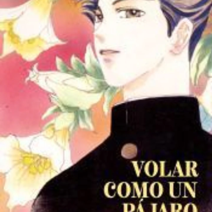 Volar como un pájaro 1