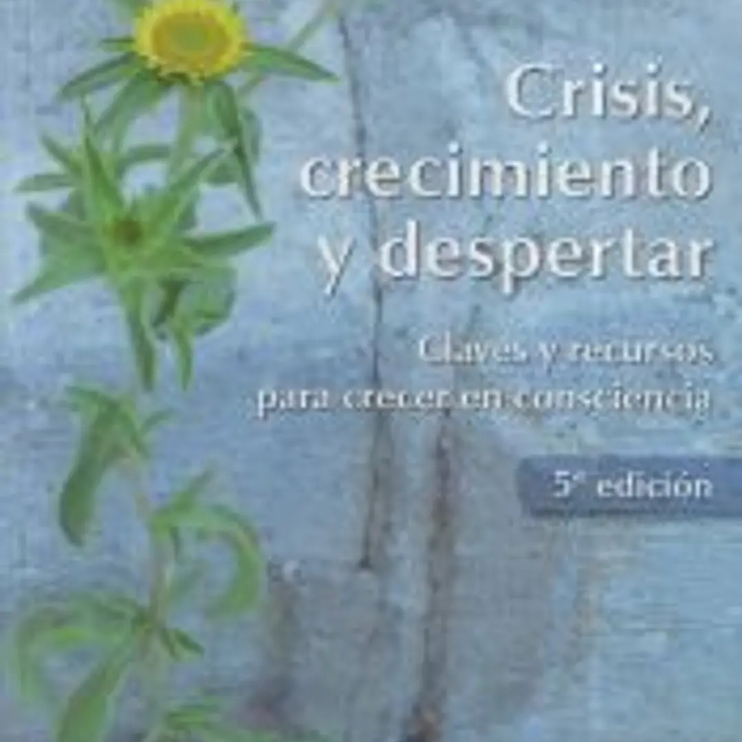 Crisis, crecimiento y despertar 1