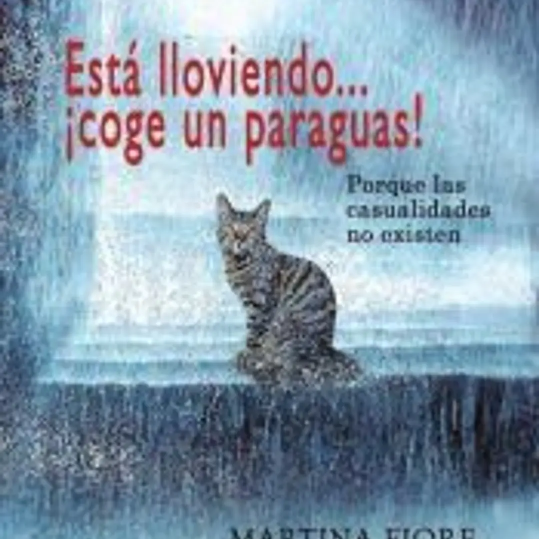 Está lloviendo...¡coge un paraguas! 1