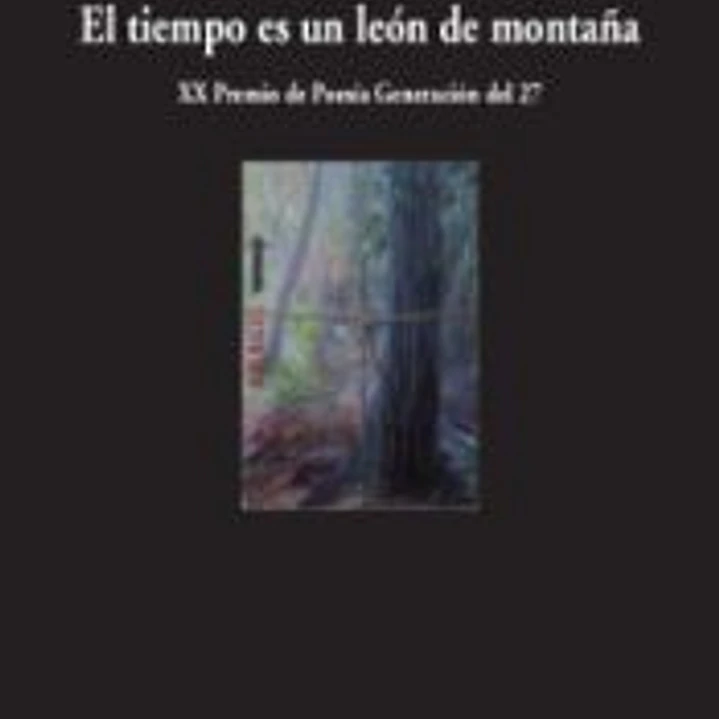 El tiempo es un león de montaña 1